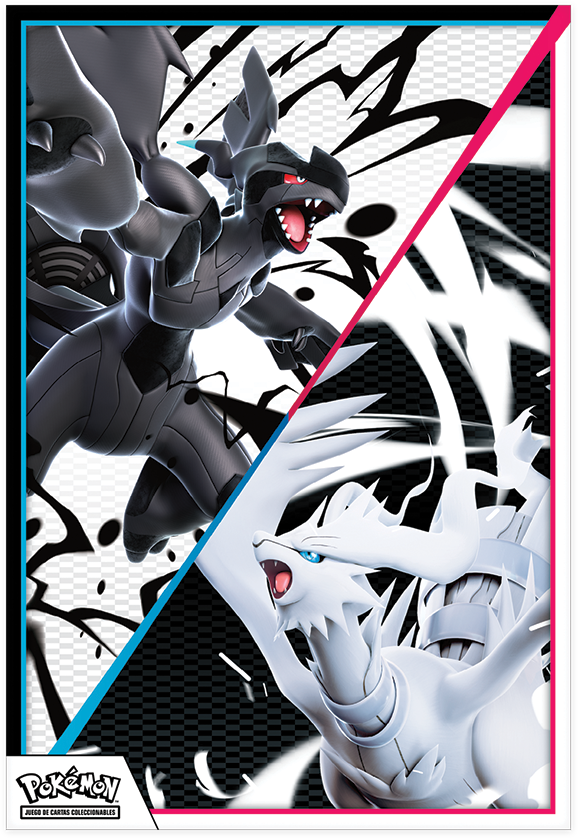 Pokémon TCG: Colección con Póster Unova
