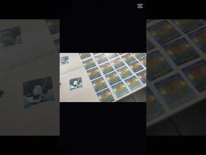 LA NOCHE DE GANSFERATU